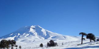 Inscrições antecipadas abertas para o 23º Campeonato Brasileiro de Snowboard