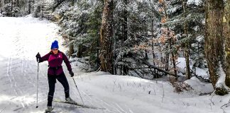 ski cross country